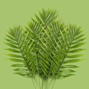 Papier peint intissé tropical — feuilles de palmier vert